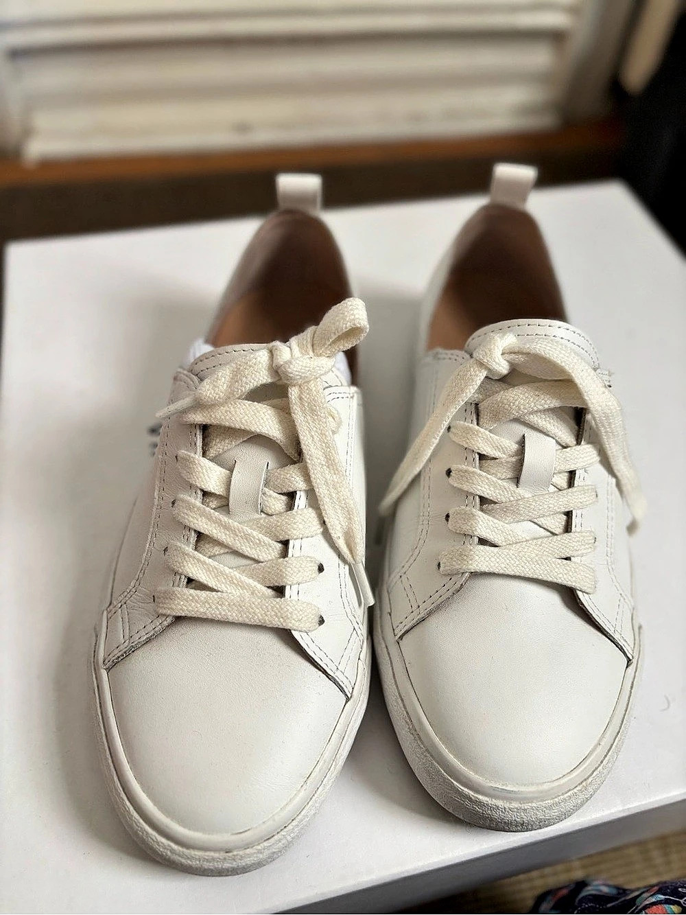 Lucky Brand Dansbey Sneaker Leather White US 5.5 M/36